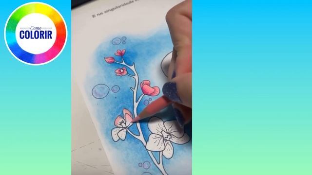 Signos & Flores: Aquário (parte 2) смотреть онлайн