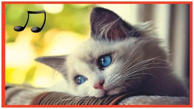 музыка предназначена для кошек - расслабляющая музыку спать беспокойные кошка 2021 смотреть онлайн