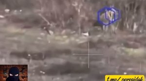 Жёсткое наказание ВСУшниц-БПЛАшниц