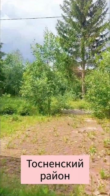 Продам дом Тосненский район смотреть онлайн
