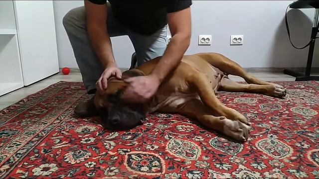 Обычный вечер Одри или Что б я так жил 😁 смотреть онлайн