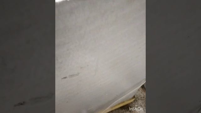 Инкубатор самодельный в пчеловодстве смотреть онлайн