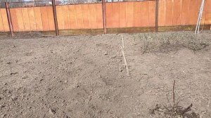 Жизнь станичная. Сегодня больше отдыхаем, чем работаем.