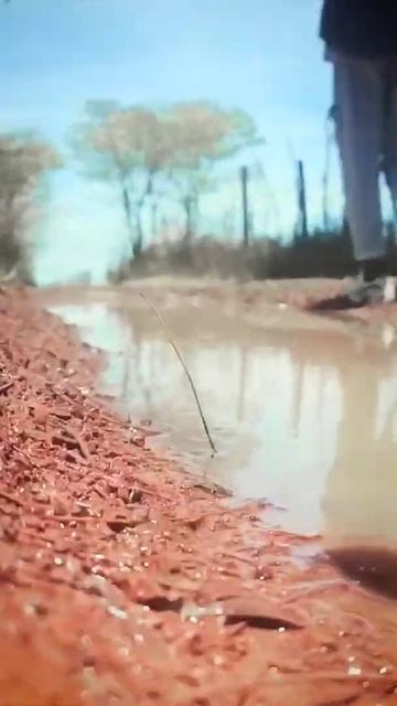 #cocacola taste the feeling .... video made on a smartphone смотреть онлайн