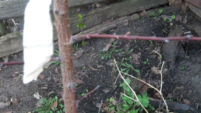 Весна в деревне. Садово огородные дела.Обзор. смотреть онлайн