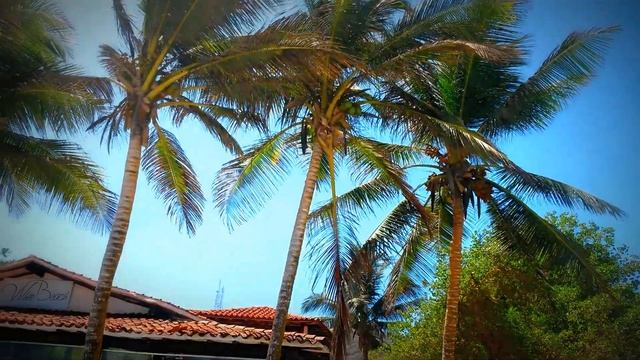 Margarita island - venezuela смотреть онлайн