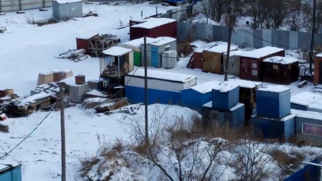 Детский сад рядом с незаконным питомником бродячих псов - 2020-12-23 - 11:30 смотреть онлайн