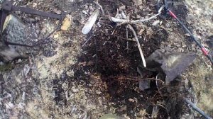 коп метала .mp4