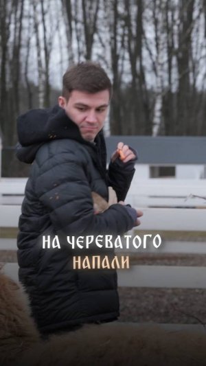 На Череватого напали