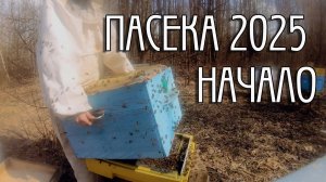 ПЕРВЫЕ РАБОТЫ С ПЧЁЛАМИ 2025