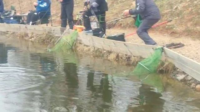 WhatsApp Video 2025-03-31 at 09.23.37 смотреть онлайн