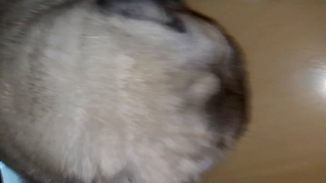 https://t.me/grsqhjjjjjj
подпишись пожалуйста 🥺 мне будет очень приятно смотреть онлайн