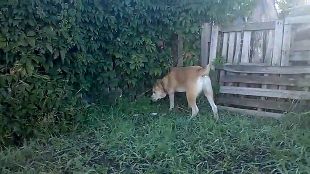 ГАДЫМ АМАН 9мес смотреть онлайн