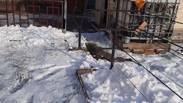 Виноград заснул до весны. смотреть онлайн