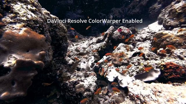 Davinci Resolve 18.6.6 ColorWarper Glitch смотреть онлайн