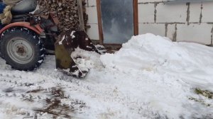Трактор TZ-4K-14 чистит снег/Tractor TZ-4K-14 plowing snow