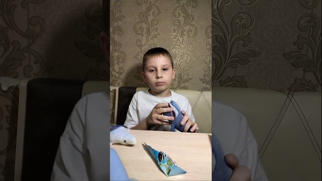 Обзор коллекции