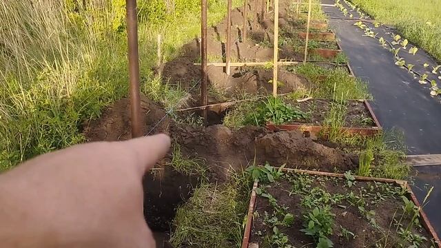 Творческий клуб друзей