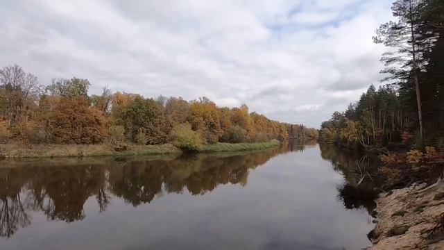 Осенняя Мещера 02.10.2021 смотреть онлайн