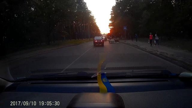 Два барана не пропустили бабку с козами
