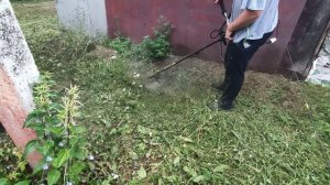 ЭЛЕКТРИЧЕСКИЙ ТРИММЕР ДЛЯ КОШЕНИЯ 1.000 КВТ СМОТРИМ КАК КОСИТ ,