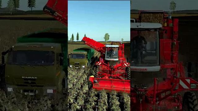 уборка картохи смотреть онлайн