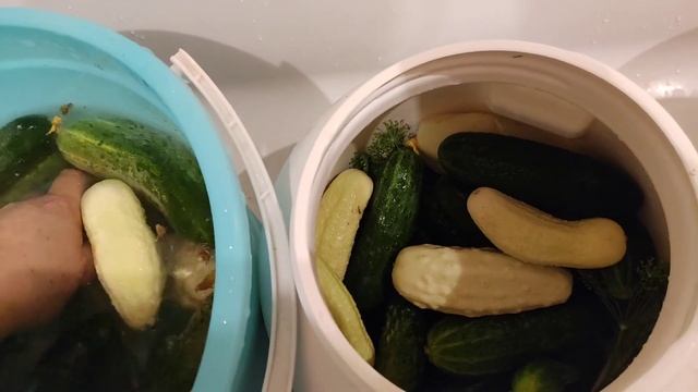 обзор огорода) участвуем в акции протеста)планы на следующий сезон смотреть онлайн