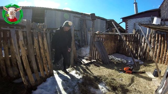 Козы в летнем загоне смотреть онлайн