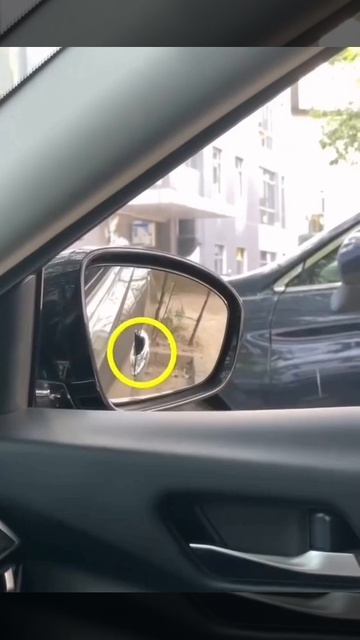 50999589_456239100.mp4