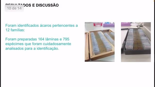 ID 1740 Monitoramento e diagnose de ácaros fitófagos de expressão quarentenária e econômica em смотреть онлайн