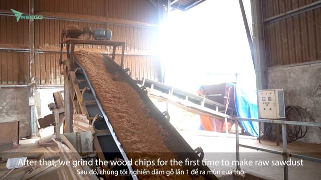 WEEGO - Vietnam Biomass Wood Pellet Production Process смотреть онлайн
