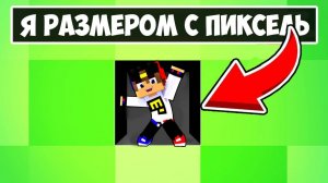 Я ЗАТРОЛЛИЛ ДРУЗЕЙ МОДОМ НА УМЕНЬШЕНИЕ в МАЙНКРАФТ ! ДЕВУШКА НУБ И ПРО ВИДЕО ТРОЛЛИНГ MINECRAFT