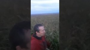 Суданская трава посев в июле результат на 22.09.2020