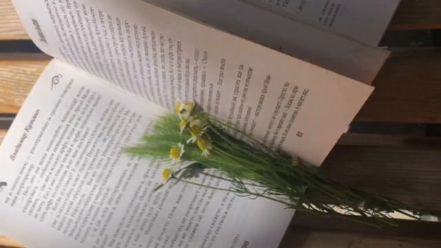 Выходные с книгой. Выпуск 5 смотреть онлайн