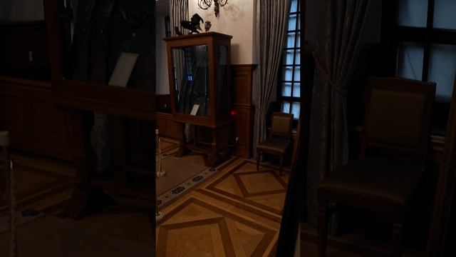 Несвижский Замок... | #WardWitcher смотреть онлайн