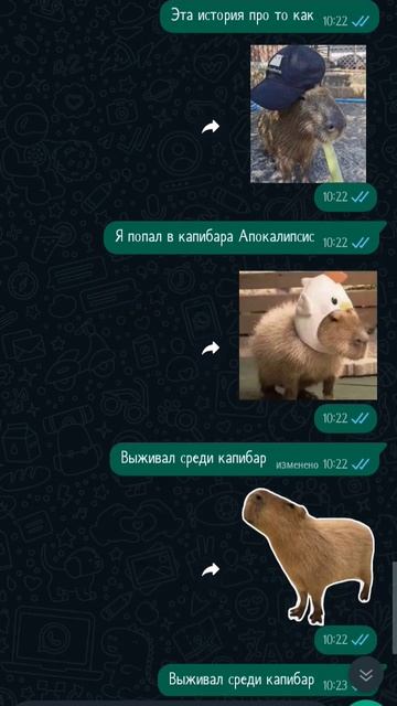 не много не в звук попал (бедные капибары😭😭😭) #капибара #зомбиапокалепсис #рофл #шутка #мем смотреть онлайн