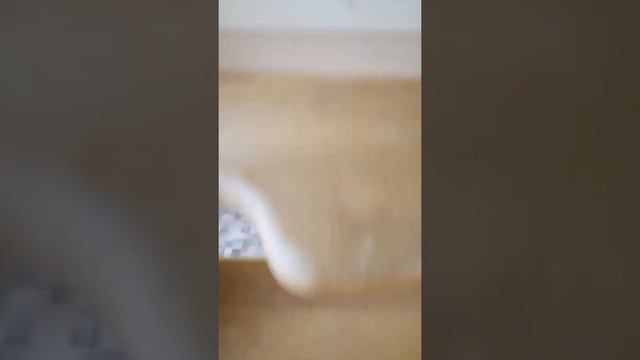 Румтур на двух этажный дом🤩🤩🤩очень красивый😉 смотреть онлайн