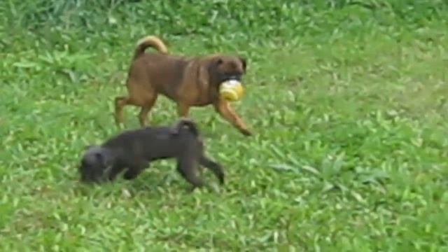 MVI 6766 смотреть онлайн