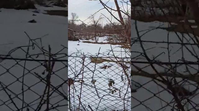 Земельный участок в Краснодарском крае смотреть онлайн