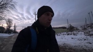 Не скули