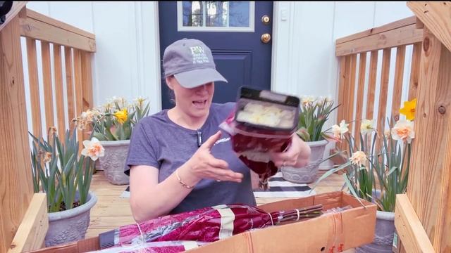 🌹 Eblooms Direct Romantic Roses Unboxed // Beautiful 6-Day Videos of their Performance смотреть онлайн