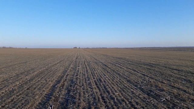 ПІДКОРМКА ПШЕНИЦІ 2023 смотреть онлайн