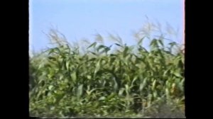 Колхоз в Крыму