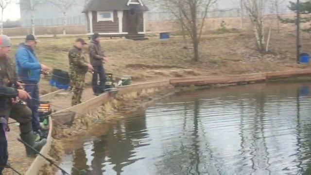 WhatsApp Video 2025-03-31 at 09.21.54 смотреть онлайн