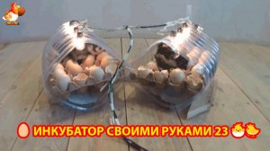 Инкубатор своими руками из подручных материалов и результат инкубации🥚🐣🐤 вариант (23)