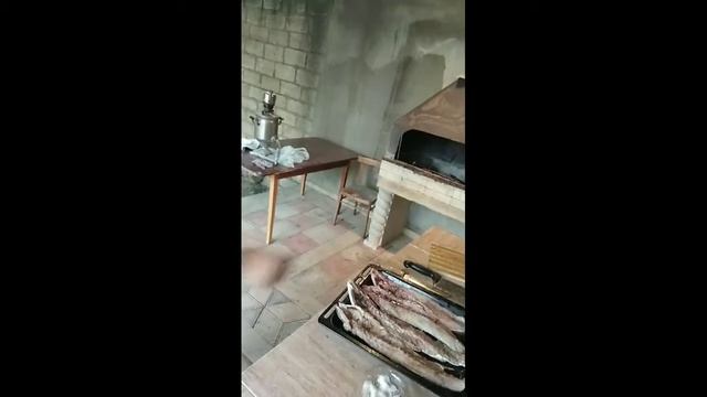 Manqalda setkada bişirilən balıq kababı смотреть онлайн
