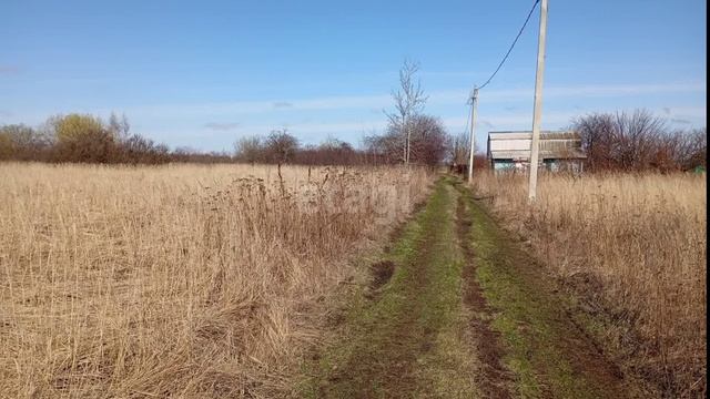 11899608 смотреть онлайн