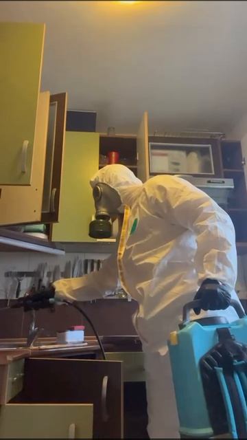 Дезинфекция. Уничтожение тараканов в квартире