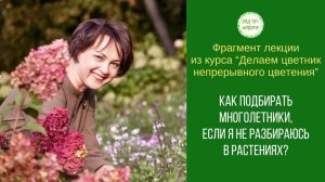 ❓Как подбирать многолетники, если я не разбираюсь в растениях_