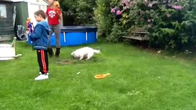 The Nerf Games смотреть онлайн